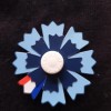 CÉRÉMONIE DU 11 NOVEMBRE 