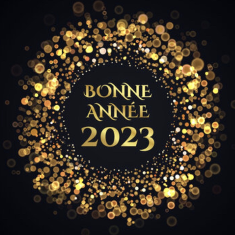 bonne-annee-2023-commune-de-bonneville-la-louvet-commune-de